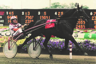 (Foto: hambletonian.com) (Foto: hambletonian.com)