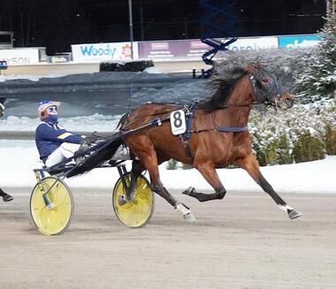 Decision Maker im Baroness Karsks Lopp (Foto: Facebook Solvalla)