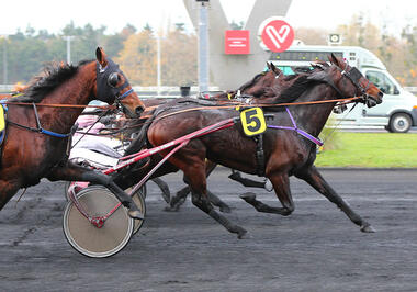 Spannender gehts kaum: Prix de Bretagne 2020 (Foto: letrot.com) Spannender gehts kaum: Prix de Bretagne 2020 (Foto: letrot.com)