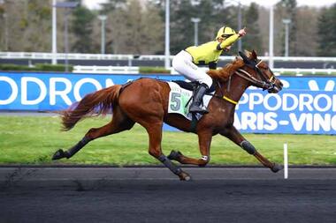 Kandora Bella im Prix Ali Hawas (Foto: canalturf.com) Kandora Bella im Prix Ali Hawas (Foto: canalturf.com)