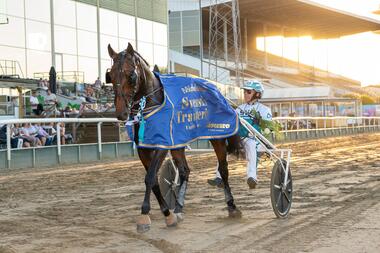 Francesco Zet geht als Favorit ins Derby-Finale (Foto: Facebook Jägersro Trav) Francesco Zet geht als Favorit ins Derby-Finale (Foto: Facebook Jägersro Trav)