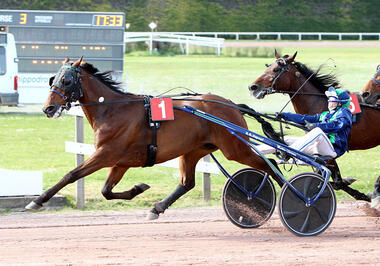 Ce Bello Romain in Argentan (Foto: letrot.com) Ce Bello Romain in Argentan (Foto: letrot.com)