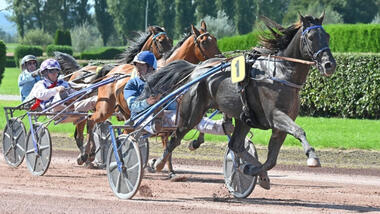 Tour-Gesamtsieger 2025 Jakartas des Prés beim Sieg in Avenches (Foto: Le Trot)