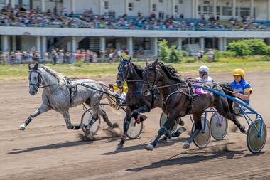 Foto: Facebook Kyiv Hippodrome Foto: Facebook Kyiv Hippodrome