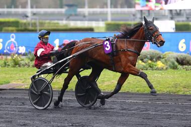 Jamaica Turbo im Prix Une de Mai (Foto: equidia.fr) Jamaica Turbo im Prix Une de Mai (Foto: equidia.fr)