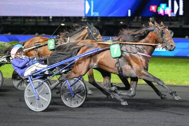 Lovino Bello im UET-Vorlauf in Vincennes (Foto: Paris-Turf) Lovino Bello im UET-Vorlauf in Vincennes (Foto: Paris-Turf)