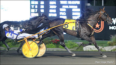 (Foto: standardbredcanada.ca) (Foto: standardbredcanada.ca)