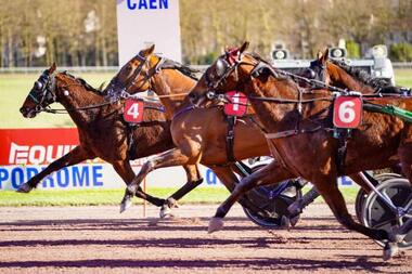 Enge Entscheidung im Prix de Cauvicourt (Foto: canalturf.com) Enge Entscheidung im Prix de Cauvicourt (Foto: canalturf.com)