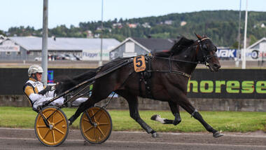 Önas Prince beim Triumph in Jarlsberg (Foto: trav365.no)