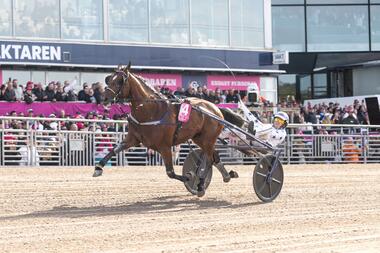 Go On Boy im Elitloppet-Finale (Foto: Facebook Solvalla) Go On Boy im Elitloppet-Finale (Foto: Facebook Solvalla)