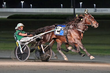 Up Your Deo auch im Yonkers-Trot-Finale (Foto: harnesslink.com) Up Your Deo auch im Yonkers-Trot-Finale (Foto: harnesslink.com)
