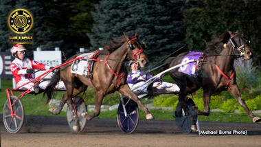 Venerable in den Mohawk Million (Foto: standardbredcanada.ca)