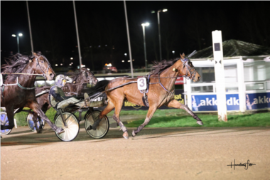 Starker Hockstedt Zweiter in Aalborg (Foto: travet.dk)