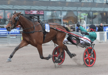 Stens Rubin im Bulwark Lopp (Foto: Facebook Solvalla) Stens Rubin im Bulwark Lopp (Foto: Facebook Solvalla)