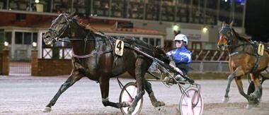 Very Kronos mit Erik Adielsson (Foto: dalatravet.se) Very Kronos mit Erik Adielsson (Foto: dalatravet.se)