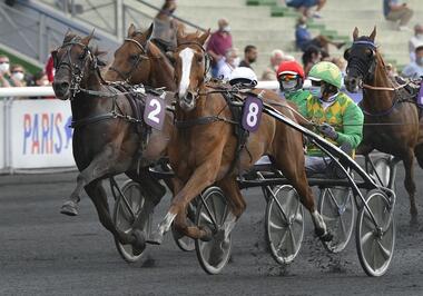 Dorgos de Guez (8) verlor den Sieg an Violetto Jet (2) - Foto: letrot.com Dorgos de Guez (8) verlor den Sieg an Violetto Jet (2) - Foto: letrot.com