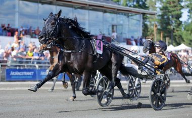 Gio Cash verteidigt den Årjängs Stora Sprinterlopp - Foto: MATILDA ÖHRMAN / TR BILD