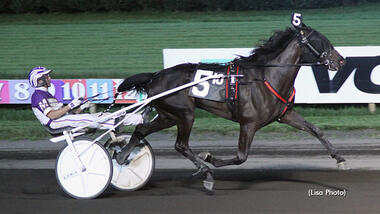 Zweijährige Venerable in 1:09,9 (Foto: standardbredcanada.ca) Zweijährige Venerable in 1:09,9 (Foto: standardbredcanada.ca)
