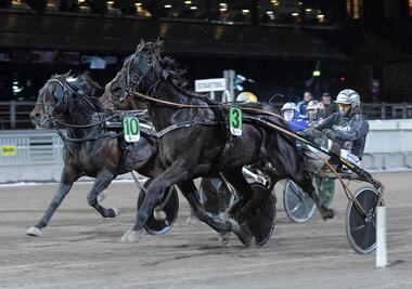 Milliondollarrhyme im Nunicios Lopp (Foto: Facebook Solvalla) Milliondollarrhyme im Nunicios Lopp (Foto: Facebook Solvalla)