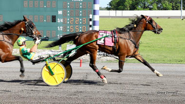Lovedmythemasses im Maxie Lee Invitational (standardbredcanada.ca) Lovedmythemasses im Maxie Lee Invitational (standardbredcanada.ca)