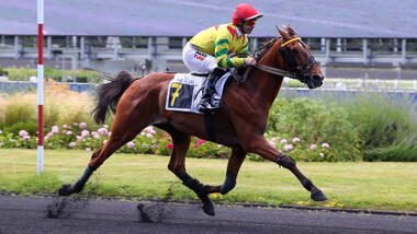 Impala de Val - 1:09,5 unter dem Sattel (Foto: Le Trot)