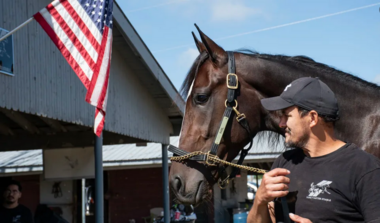 Erstmal kein europäischer Nachwuchs für Karl (Foto: Travronden)