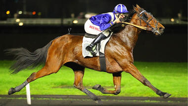 June im Prix Xavier de Saint Palais (Foto: letrot.com) June im Prix Xavier de Saint Palais (Foto: letrot.com)