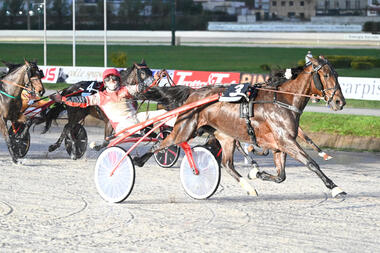 Viscarda Jet überrascht im Gran Premio Royal Mares (Foto: equos.it) Viscarda Jet überrascht im Gran Premio Royal Mares (Foto: equos.it)