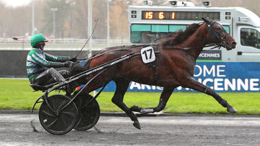 Jushua Tree im Prix Octave Douesnel (Foto: letrot.com)