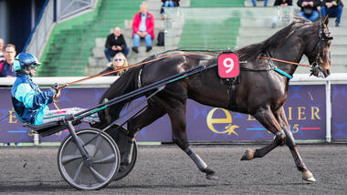 Idéal Ligneries fliegt über den großen Teich (Foto: letrot.com) Idéal Ligneries fliegt über den großen Teich (Foto: letrot.com)