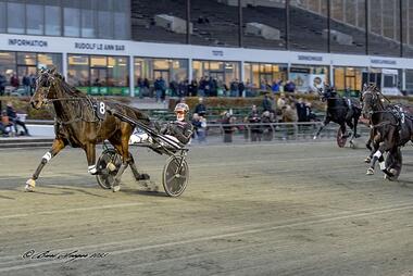 Y Not Diamant im N. J. Koster Memorial (Foto: travservice.dk)