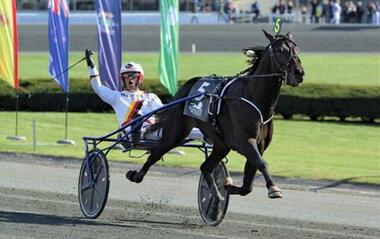 Zacon GIo beim Triumph im International Trot Zacon GIo beim Triumph im International Trot