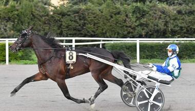 Great King Wine gewinnt in Syrakus (Archivfoto: equos.it) Great King Wine gewinnt in Syrakus (Archivfoto: equos.it)