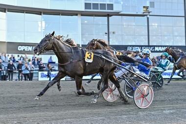 Very Kronos im Sundsvall Open Trot (Foto: travrevyn.com) Very Kronos im Sundsvall Open Trot (Foto: travrevyn.com)