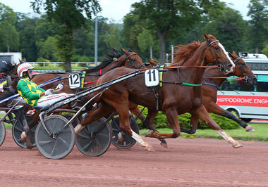 Dorgos de Guez im Prix Jean-Luc Lagardère (Foto: letrot.com) Dorgos de Guez im Prix Jean-Luc Lagardère (Foto: letrot.com)