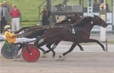 Charmant de Zack im Gran Premio Giuseppe Biasuzzi (ilcorrieredellacitta.com)