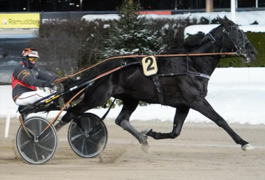 Milliondollarrhyme beim 100. Lebensstart siegreich (Foto: Facebook Solvalla)