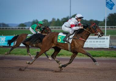 Happy and Lucky im Prix Louis Forcinal (Foto: letrot.com) Happy and Lucky im Prix Louis Forcinal (Foto: letrot.com)