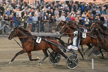 SprinterMästaren 2023: Hustle Rain (Foto: Facebook HalmstadTravet) SprinterMästaren 2023: Hustle Rain (Foto: Facebook HalmstadTravet)