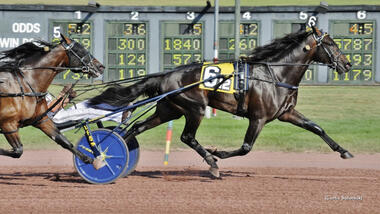 Temporal Hanover im Earl Beal jr Memorial (Foto: standardbredcanada.ca) Temporal Hanover im Earl Beal jr Memorial (Foto: standardbredcanada.ca)