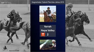 05.2019 - Pferd dJ Trabreiten 05.2019 - Pferd dJ Trabreiten