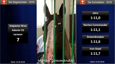 05.2019 Siegreichsten 05.2019 Siegreichsten