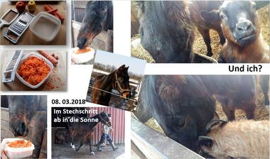 08.03.18 Reado 08.03.18 Reado