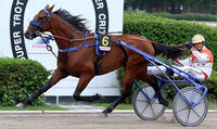 1 Michael Nimczyk Cash Hanover Foto Marius Schwarz