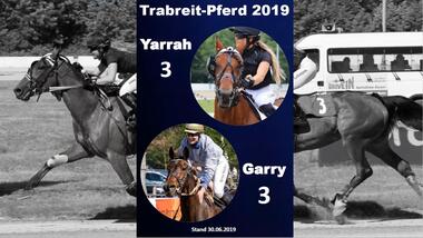 1. Halbjahr Trabreit-Pferd 1. Halbjahr Trabreit-Pferd