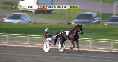 1. Tietz