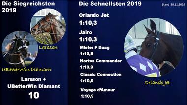 11.2019 Schnellsten+ Siegreichsten 11.2019 Schnellsten+ Siegreichsten