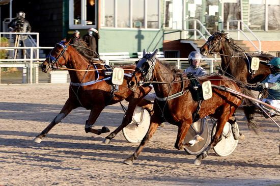 16072051910 16072051910