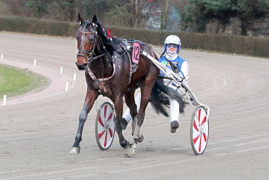 16171125791 16171125791