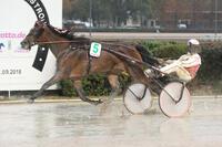 182MK230918Mariendorf Avalon Mists 182MK230918Mariendorf Avalon Mists